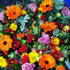 Florist Choice Hand Tied 