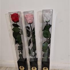 Preserved rose