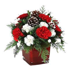 Festive arrangement 